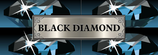 Black Diamond 25