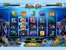 Dolphin Gold Screenshot