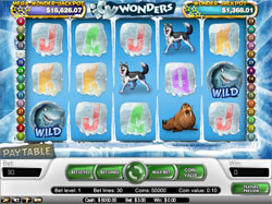 Icy Wonders Screenshot