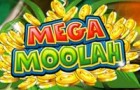 Mega Moolah Jackpott