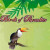 Birds of Paradise