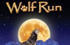 Wolf Run