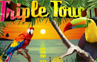 Triple Toucan