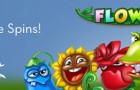 Flowers Free Spins