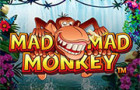 Mad mad monkey