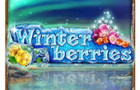 Winterberries Vera&John
