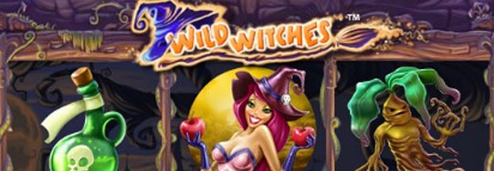 Wild Witches