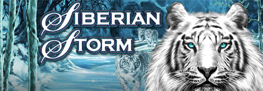 Siberian Storm