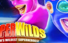 Super Wilds